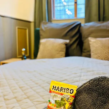 Sh - Einzigartiges Loft In Der Altstadt Апартаменты Эрфурт